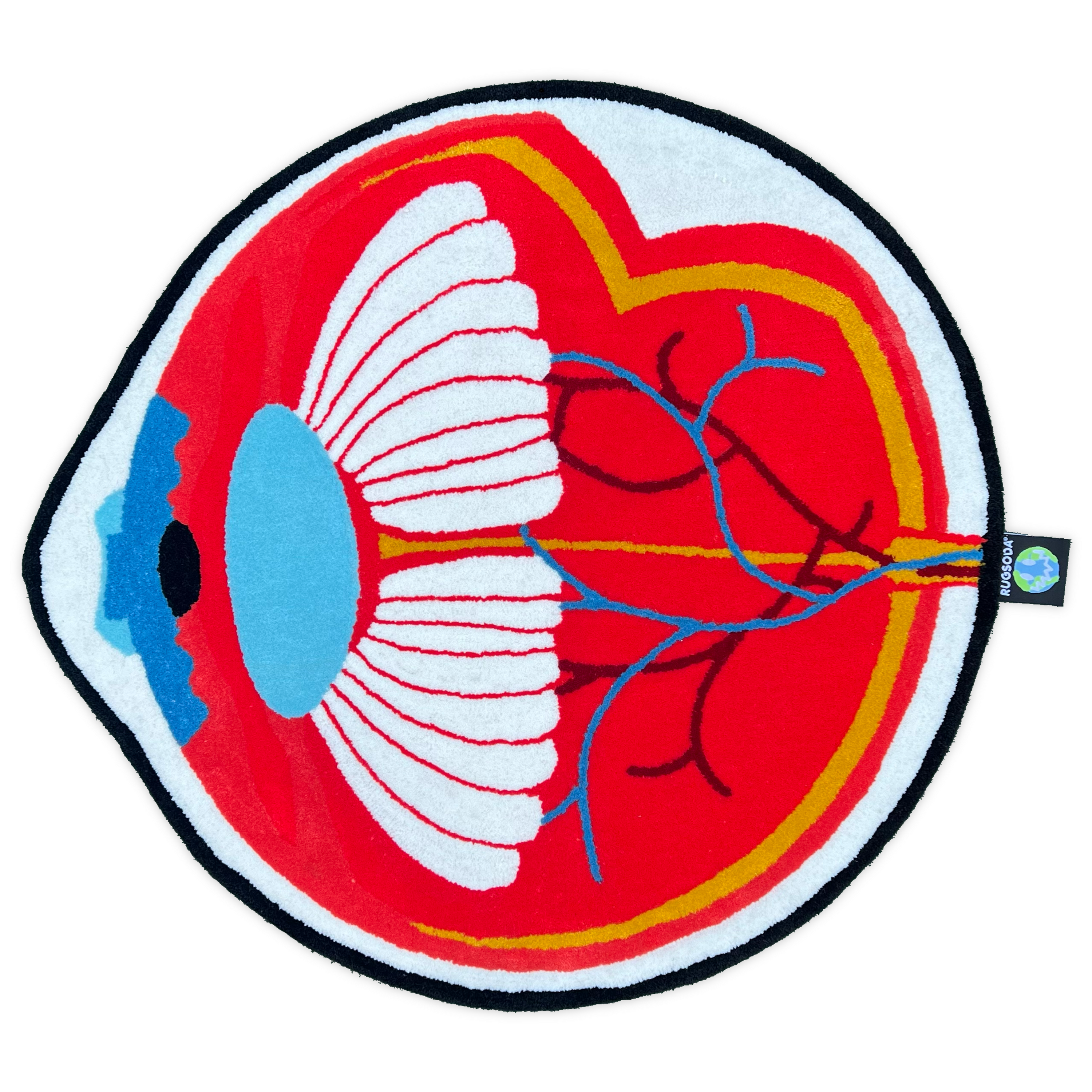 ANATOMICAL EYE RUG