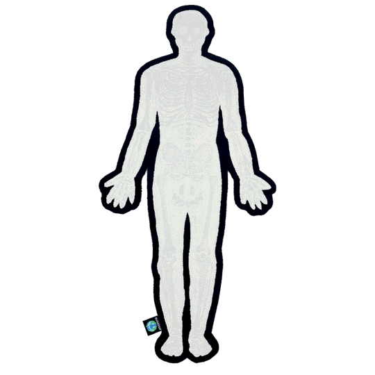 X-RAY RUG – RUGSODA